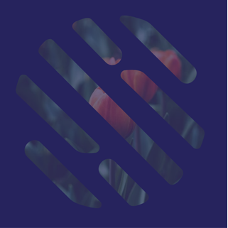 Codepen Thumbnail